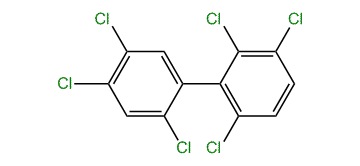 2,2',3,4',5',6-Hexachloro-1,1-biphenyl